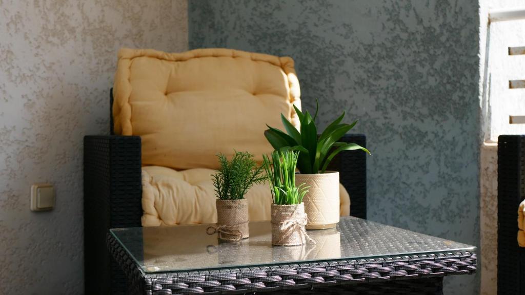 Lucciana Apartment | APPARTEMENT SERENITY Bastia