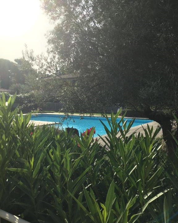 Lecci Apartment | Appt T2 Standing avec Piscine et Terrasse