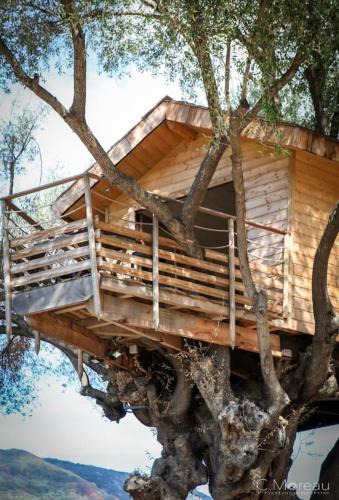 Olmeto House | Cabane Dans les Arbres, Domaine de l Ogliastru