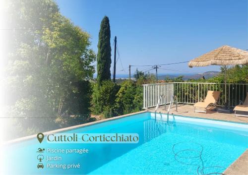 Cuttoli-Corticchiato Apartment | Charmant appartement - Piscine et jardin - Ajaccio