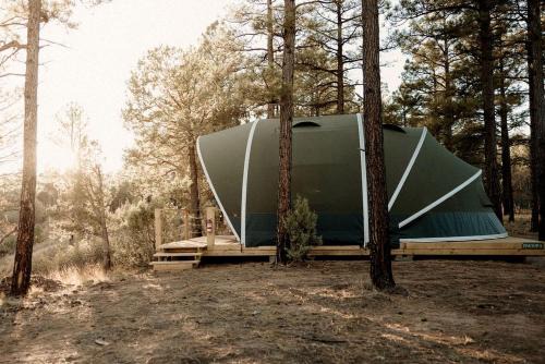 McIntosh Other | Cozy Glamping Tent with Heritage Orchard & Farm Animals near Mountainair in Torreon, New Mexico