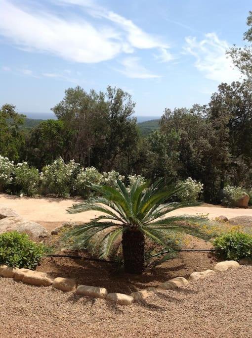 Sainte-Lucie-de-Porto-Vecchio Villa | Grande Villa superbe vue mer !