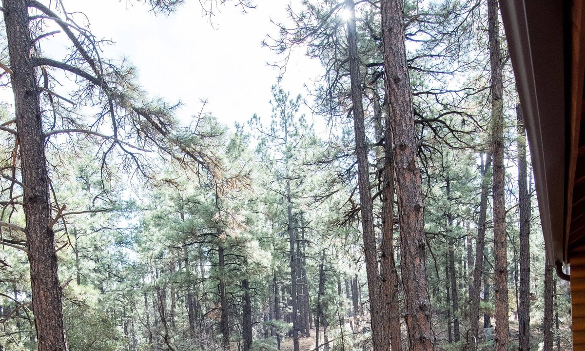 Highland Pines House | Guest house with deck in the forest west of Prescott, king bed, dog friendly