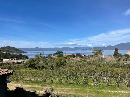 Belvedere-Campomoro Other | La vallee 3