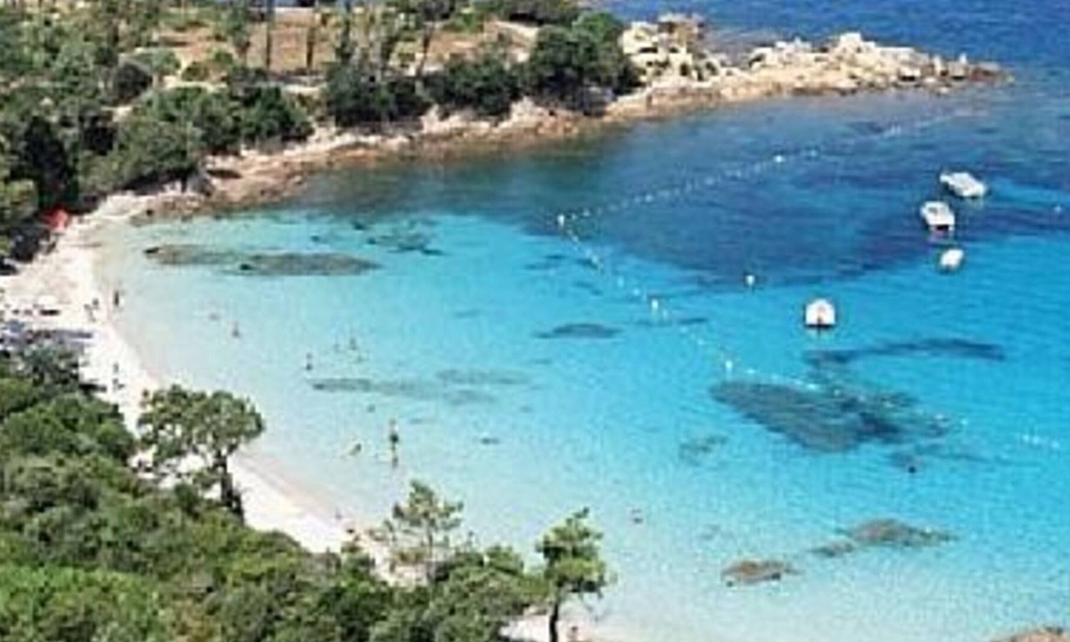 Molini Apartment | PARADISU ARDESIA 1 - 6P 2 chambres proche plage
