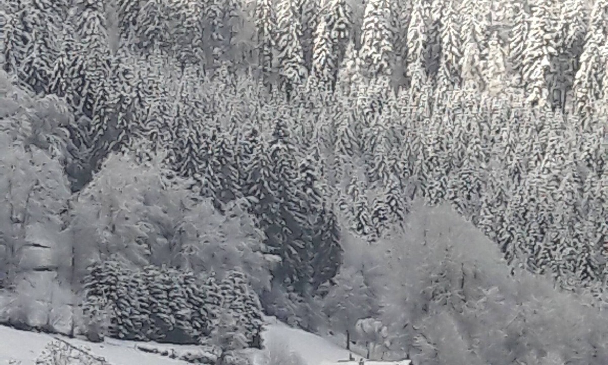 Vagney Ski Chalet | Quiet, typical chalet in the Vosges mountains