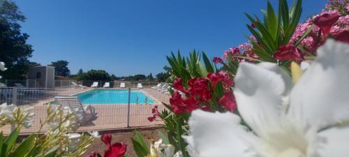 Lecci House | Résidence RIVIERA- la Bonifacio