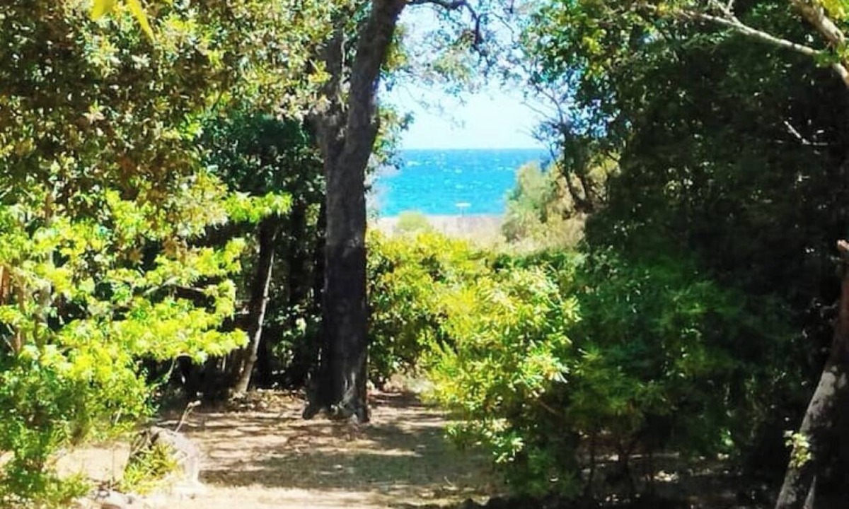 Solaro Villa | Seaside property Porto Vecchio region