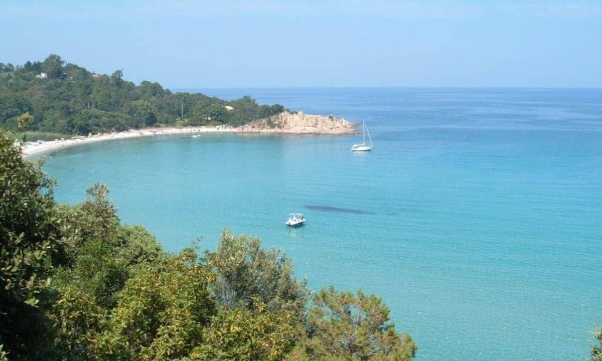 Tarcu House | Three-room apartment - Patio 2
