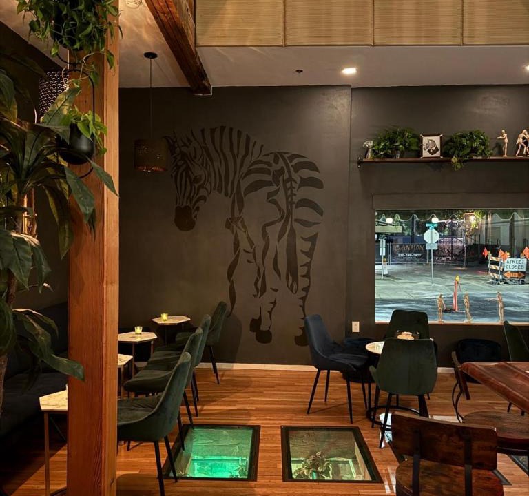Downtown Tucson Hotel | Unicorn Zebra