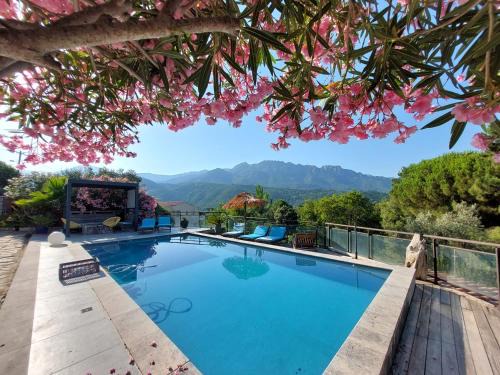 Vero House | Villa rundinella