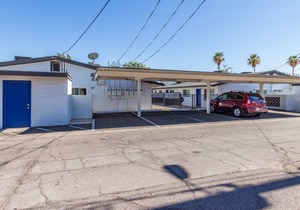 Cozy Studio in Tempe near Airport | Bluu Door | Tortoise