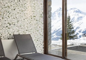 Wifi, 150m from shops, swimming pool, sauna, hammam, balcony, fireplace or stove, tv, ski locker