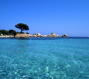 Palombaggia 