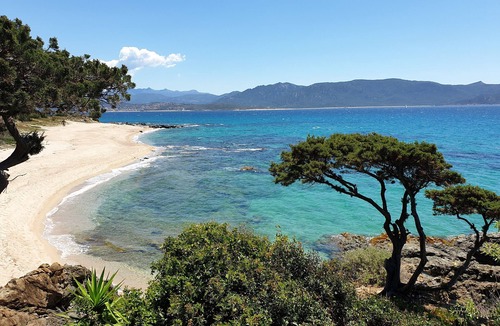 Porto Pollo House | 2 Pièces, Climatisé, à 150 m de la Plage, Tout Confort Pour 4 Personnes