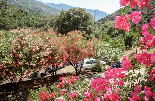 Serriera Apartment | 62 m² Apartment ∙ 2 bedrooms ∙ 4 guests