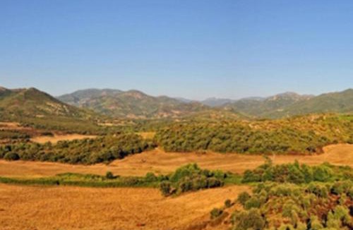 Sartene Villa | A Maestra