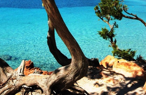Pinarellu Apartment | Air-conditioned apartment near Porto Vecchio, 500 m sea, 8 people, two bathrooms