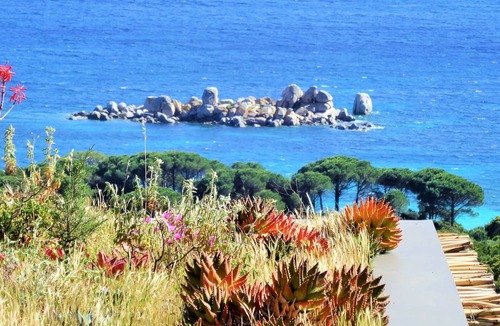 Porto-Vecchio Apartment | Apartment for 2 to 4 people with 1 bedroom.
