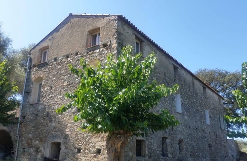 Novella House | Authentic 18th-century oil mill in a 50-hectare olive grove in Balagne.