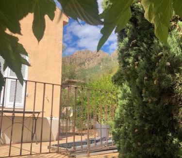 Conca Bed & Breakfast | BandB les rosiers - Hellébore