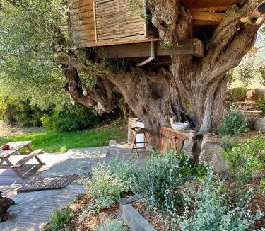 Olmeto House | Cabane Dans les Arbres, Domaine de l Ogliastru