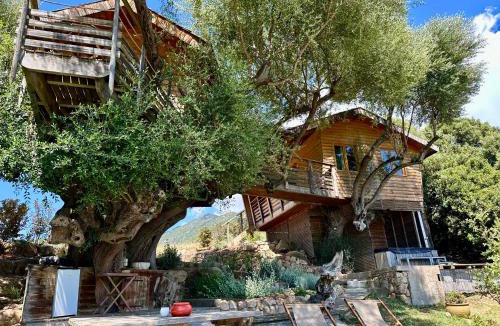 Olmeto House | Cabane Dans les Arbres, Domaine de l Ogliastru
