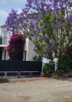 Pietroso Apartment | Charmant T3 en rez de jardin d'une villa