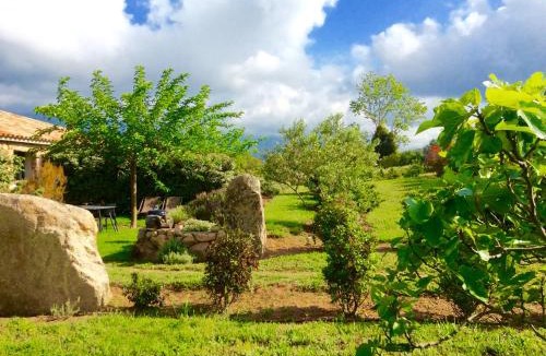 Figari House | Clos Simoni