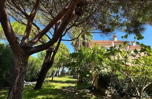 Pineto Apartment | Cosy apartment for 5 guests with WIFI, A/C, TV, terrace and pets allowed