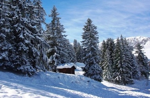 Valmorel Apartment | Cozy 2-Room Apartment for 5, Near Ski Slopes and Shops, Crève-Cœur