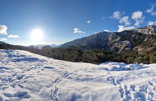 Bastelica Apartment | Cozy mountain apartment, 15 minutes from the Val d'Eze ski slopes