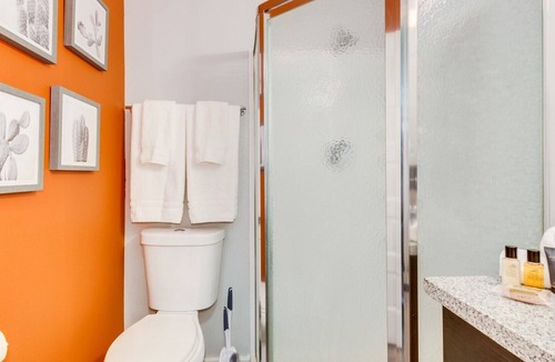 Sunset Apartment | Cozy Studio in Tempe near Airport | Bluu Door | Tortoise