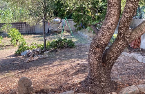 Porto Pollo House | Detached house on fenced garden with trees 150m from the beach!