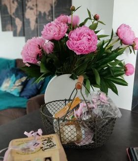 Saint-Ame Apartment | Gîte cosy avec avec jardin et parking privatifs - Hautes Vosges