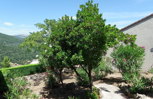 Vico House | LES BALCONS DE LA CHIUSA House for 2 people 1 bedroom in VICO 13 km from the beach