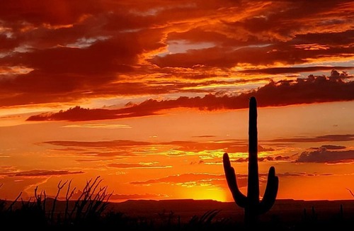 Sabino Estates House | Magnificent Views - Tucson Ranch Style Home