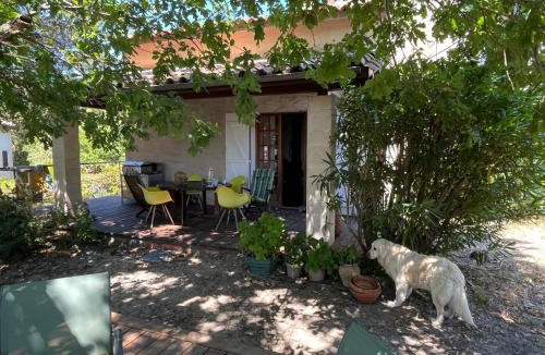 Pyla-sur-Mer House | Maison Albatros