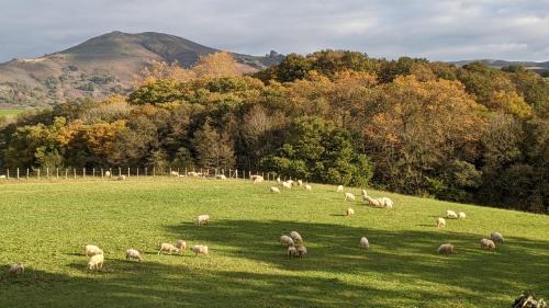 Saint-Pee-sur-Nivelle House | Maison typique Basque en pleine campagne