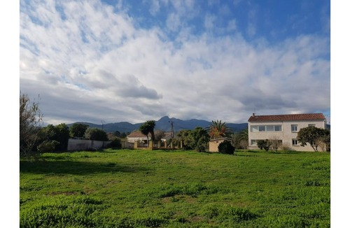 Solaro Apartment | PALMA Large garden with swimming pool 1 km from the sea