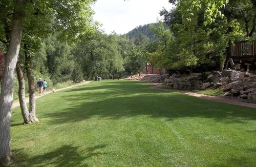 Kohls Ranch Cabin | Payson | Family Cabin Escape | Pool + Hot Tub | 2BR