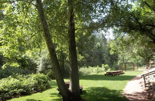 Kohls Ranch Cabin | Payson | Family Cabin Escape | Pool + Hot Tub | 2BR