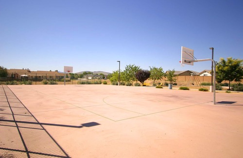 View Point House | Pet Friendly House with Beautiful backyard views of Mountains and Wildlife!