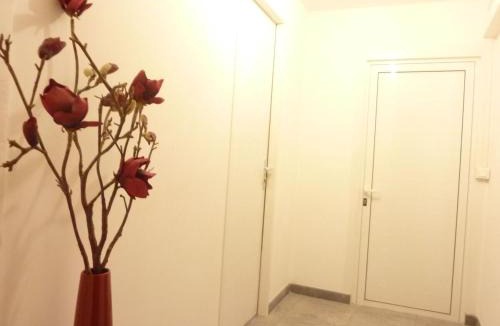 Bastia Apartment | Studio meublé Centre ville