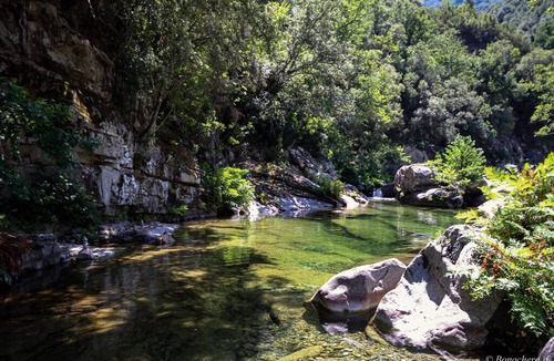 San-Gavino-di-Fiumorbo House | T2 in the heart of the village, near natural swimming pools and hikes