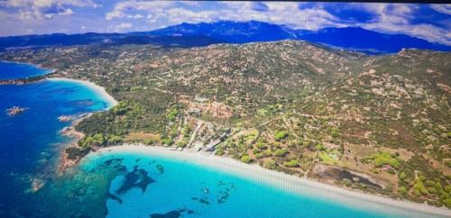 Bravone Apartment | T2 paradisiaque en bord de mer et piscine