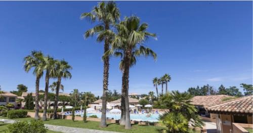 Bravone Apartment | T2 paradisiaque en bord de mer et piscine