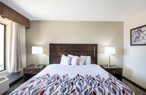 Feldman's Hotel | Tucson Deluxe King Bed | Outdoor Pool | Near Convention Center