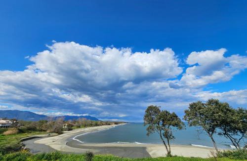 Bravone Apartment | Villa santa karina
