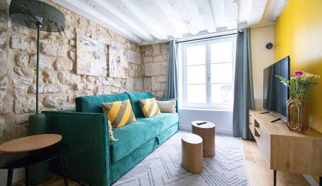 12. 2-Bedroom Apartment—Rivoli, Marais, St. Paul—Sleeps 4—Paris 4